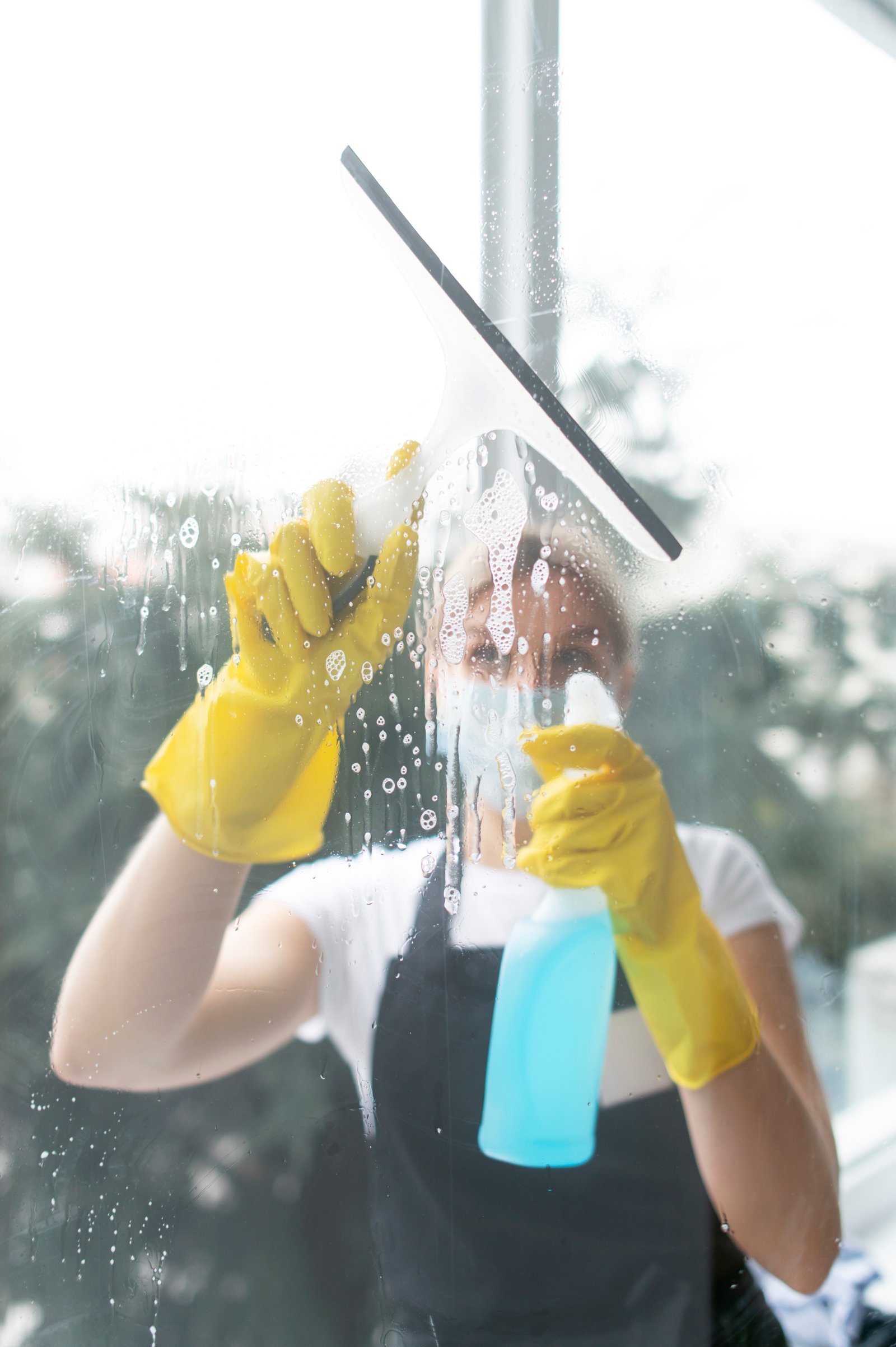 Detailed window cleaning